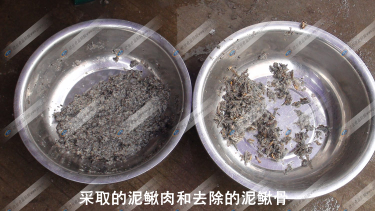 采泥鰍肉-泥鰍骨泥鰍皮對比圖-贛云機(jī)械