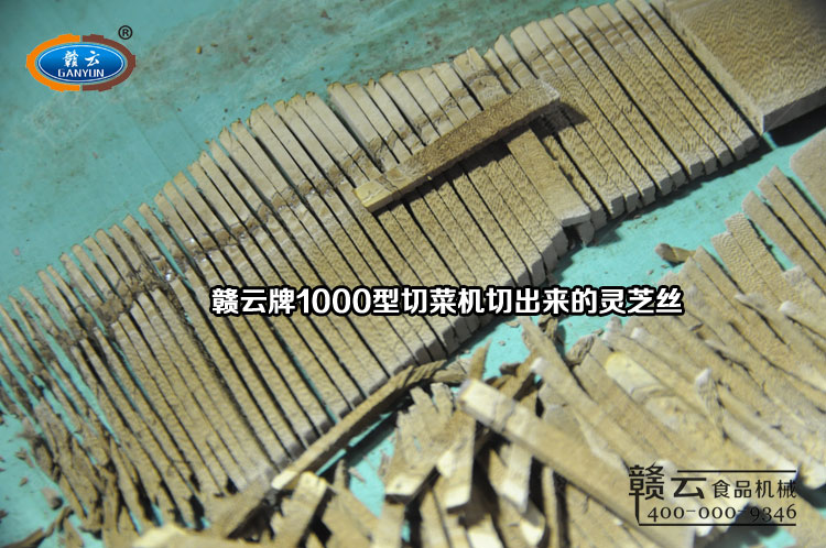切菜機(jī)切出來的靈芝絲